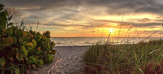 白沙路通往日落的州公园海岸线热带旅行海洋小路海岸海滩图片