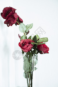 在一个玻璃花瓶装饰酒店房间内的人工红玫瑰花瓣庆典植物群花束植物礼物装饰品玫瑰婚礼生日图片