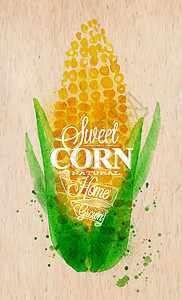 玉米水彩画海报图片