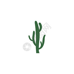 仙人掌图标标志模板沙漠热带花园插图植物夹子绘画艺术绿色肉质背景图片