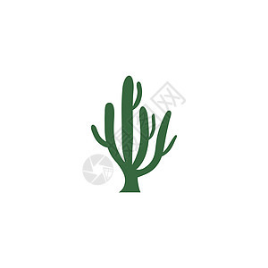 仙人掌图标标志模板植物夹子肉质卡通片绿色艺术绘画沙漠插图热带图片