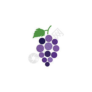 葡萄矢量图标插图设计紫色叶子桌子浆果配种农场植物美味食物和睦图片
