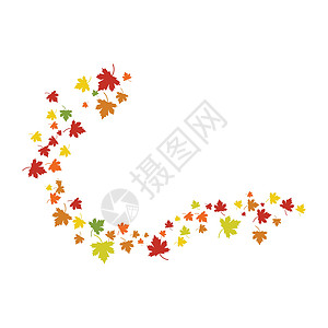 它制作图案枫叶矢量黄色艺术白色横幅植物旗帜国家红色插图季节图片
