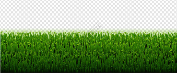 透明背景绿草边框环境框架生长水平插图全景草地季节绿色场地图片