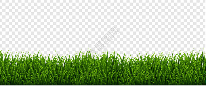 绿草框架和孤立的透明背景( E)图片