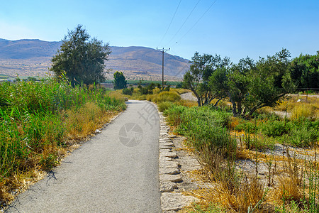 与访客在春谷公园的足路踪迹风景旅行游泳天空旅游公园闲暇植物晴天图片