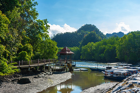 令人难以置信的美丽自然景观 一个码头船到河边 在一片绿色森林中俯瞰山岳假期游客天空蓝色植物场景反射自然风景季节图片