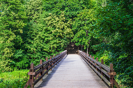 深森林的旧木环桥横河人行道公园木头叶子植物结构区系木桥农村林道图片