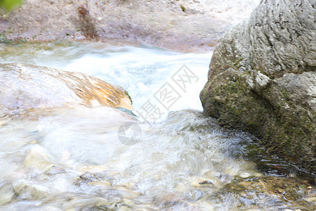 小河森林风景运河环境石头岩石植被巨石荒野灌木丛图片