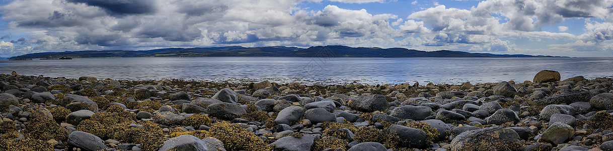 水边缘的散石支撑风景海藻卵石海滩环境植物岩石海岸线海岸图片
