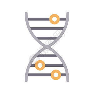 遗传的螺旋药品生物学插图遗传学生活技术人工智能生物标识图片