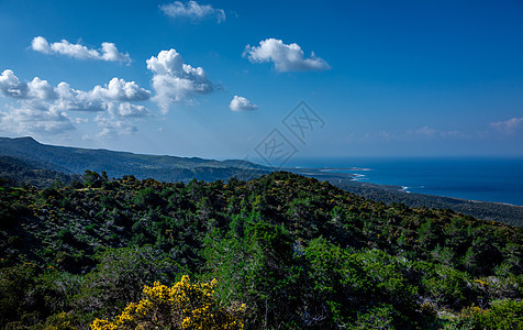 塞浦路斯岛的地貌景观植物群环境海滩海洋树木公园峡谷蓝色地标旅行图片