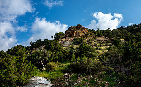 塞浦路斯岛屿的吸引性物环境爬坡蓝色山脉游客峡谷丛林旅游树木农村图片
