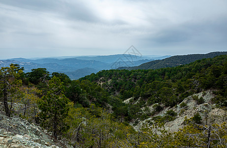 塞浦路斯岛屿的吸引性物山坡海洋树木植物群农村场景顶峰土地森林山脉图片