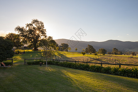 Allans 澳大利亚平板景观协会风景草地爬坡场地地平线旅行植物场景土地环境图片