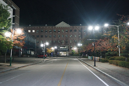 夜里看到铺面行人的道路 或走在树边的路上人行道花园后院旅游公园车道小路旅行建筑学城市图片