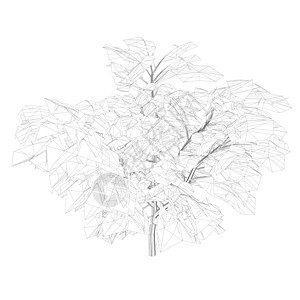 白背景上隔离许多叶子的无线框架树 3D 矢量插图图片