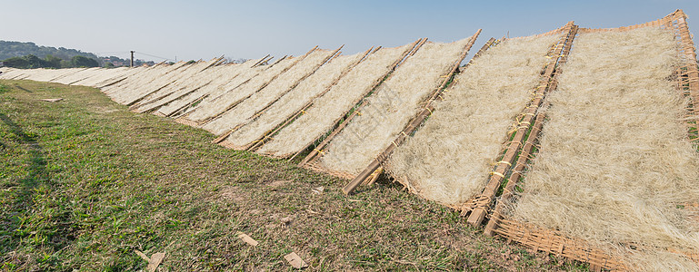 在越南河内外太阳下晒干越南稻谷的竹栅栏向上看一排竹围栏框架盘子食物文化光束手工包子竹子麸质挂面图片