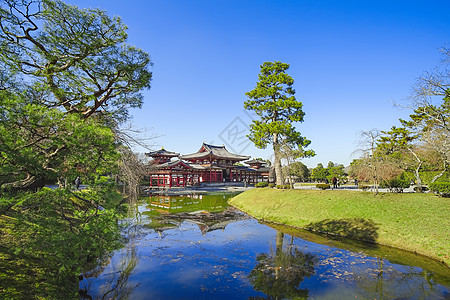 有名的凤凰堂 或比奥多因寺庙的胡洛厅目的地历史地方场景神社蓝色文化天空吸引力建筑学图片