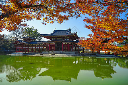 有名的凤凰堂 或比奥多因寺庙的胡洛厅神社天空旅游建筑学文化场景历史蓝色目的地吸引力图片