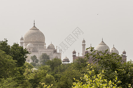 印度阿格拉的泰姬·马哈勒(Taj Mahal)图片