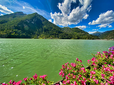美丽的阿勒格河湖 在意大利夏季夏天山脉绿色草地山峰森林池塘植物风光旅行场景图片