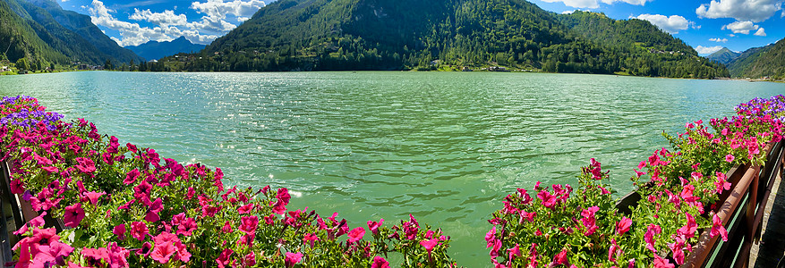 美丽的阿勒格河湖 在意大利夏季夏天植物目的地风景天空爬坡旅行季节绿色色彩森林图片