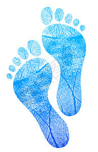 白背景的蓝色蓝脚印图画设计图片