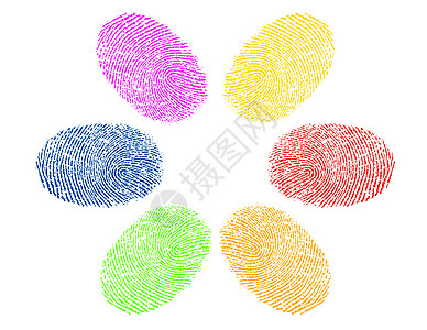 不同颜色多样性概念中的指印指纹;图片