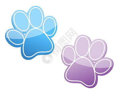 爪掌打猎印刷脚趾痕迹地面小狗老虎双胞胎小猫紫色图片