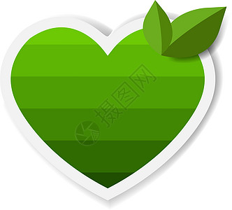 含有白叶叶白背景的绿色标签 天然产品插图艺术印刷回收环境生态叶子话框保修单横幅图片