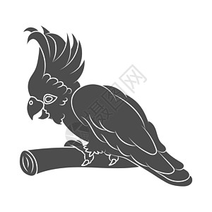 树枝上一只鹦鹉鸟的轮廓背影变体手绘空白栖息地羽毛概念插图剪贴簿动物群动物插画