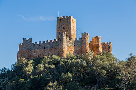 Almourol 城堡视图远景绿色风景墙壁地标爬坡旅游旅行石头堡垒图片