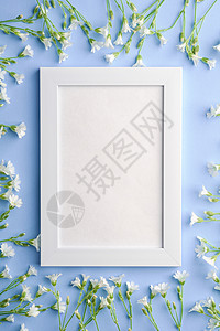 白空照片框 用鼠梨鸡毛花模拟邀请函婚礼镜框蓝色花朵问候语问候繁缕老鼠耳朵图片