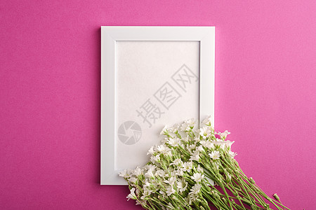 白空照片框 用鼠梨鸡毛花模拟花朵问候语镜框问候婚礼老鼠邀请函紫色繁缕框架图片