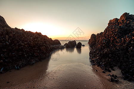 岩石上橙色的日落 海边有贝壳蓝色海岸石头旅行海浪天空小径冲浪海景支撑图片