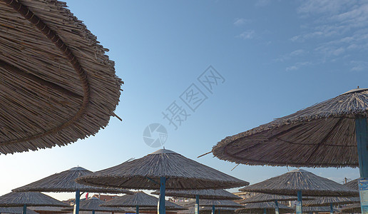 Reed海滩雨伞对抗蓝天图片