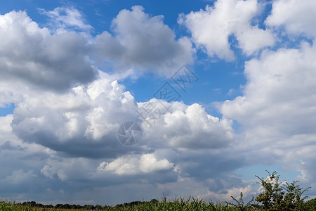 蓝色天空中美丽的乌云 在北欧洲的农庄园里阳光爬坡草原晴天太阳天气土地牧场草本植物农业图片