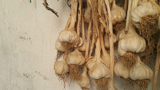 干大蒜灯泡背景的近视团体芳香收成食物宏观味道营养蔬菜香料植物图片