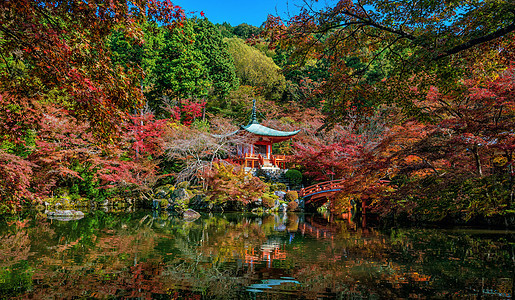京都盛名大地寺庙 秋红树叶神社红色池塘花园橙子公园叶子宝塔宗教风景图片