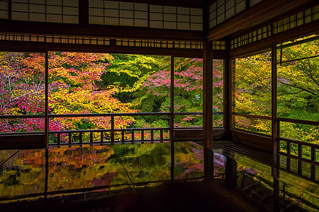 京都古寺庙的秋色景象寺庙枫树建筑学旅游公园花园季节文化树叶橙子图片