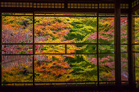 日本美丽花园京都古寺庙的秋色景象枫树顶峰公园花园叶子寺庙橙子旅行文化全景背景