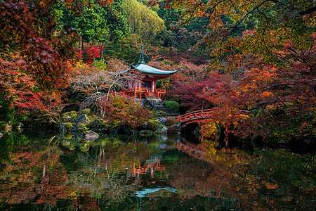 京都盛名大地寺庙 秋红树叶季节宗教红色叶子旅行风景池塘宝塔神社建筑学图片