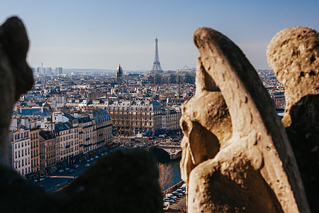 法国的加戈伊尔圣母院纪念碑景观建筑学历史恶魔城市贵妇人雕塑地标风景图片