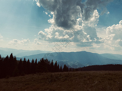 山中的松林自然树木山脉旅行松树爬坡绿色蓝色天空晴天图片