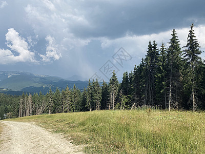 山中有云的风景木头蓝色山脉树木绿色天空场景松树国家草地图片