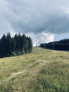 山中有云的风景松树绿色爬坡蓝色天空太阳木头树木草地山脉图片