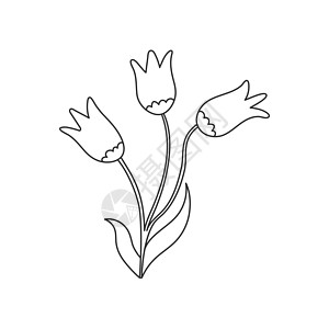 鲜花的矢量插图 孤立在 京都议定书季节植物学草图花序空白叶子植物植物群库存剪贴簿图片