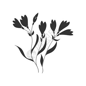 鲜花的矢量插图 孤立在 京都议定书绘画花序草图植物群季节叶子变体库存空白剪贴簿图片