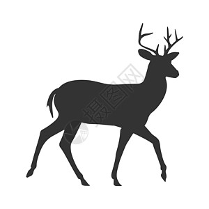 一只鹿的轮廓背影 孤立在白色背景上蹄子插图森林牛角食物动物变体草图栖息地荒野图片